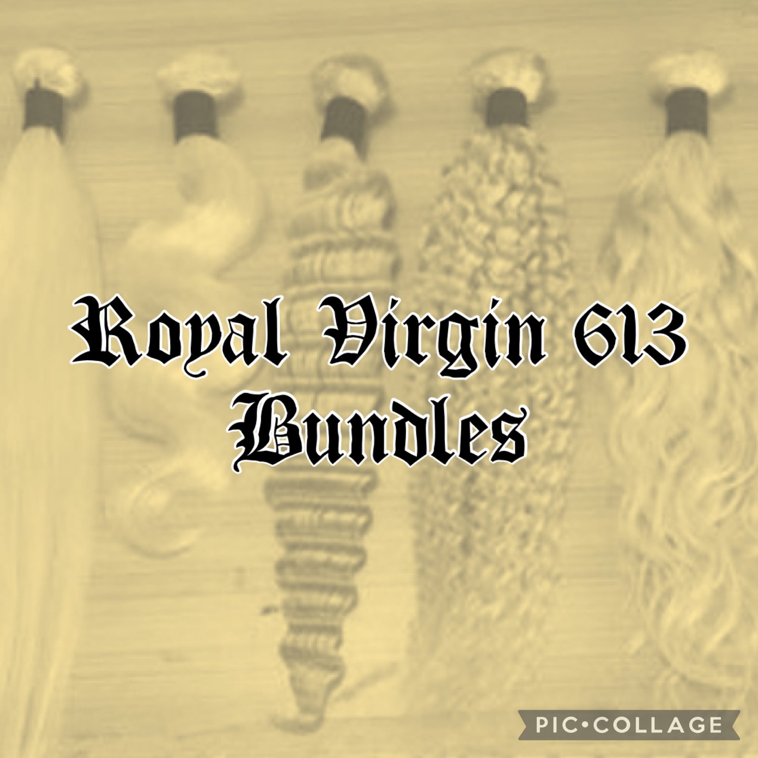 Royal Virgin 613 Collection